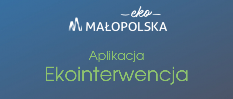 Ekointerwencja